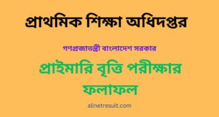 Primary Scholarship Result